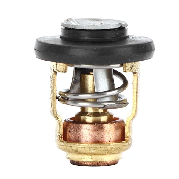 Termostat för båtmotor Passar Yamaha 3P-225P Hästkrafter Utombordare 6E5-12411-30