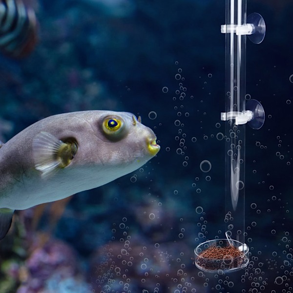 Akryl Gennemsigtig Holdbar Akvarium Fisk Reje Foder Fisketank Foderrør med Bakke (20cm)