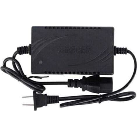 ANDIAMO Smart batterilader tilbehør 12V 1.8A for CN 220V elektrisk sprøyte
