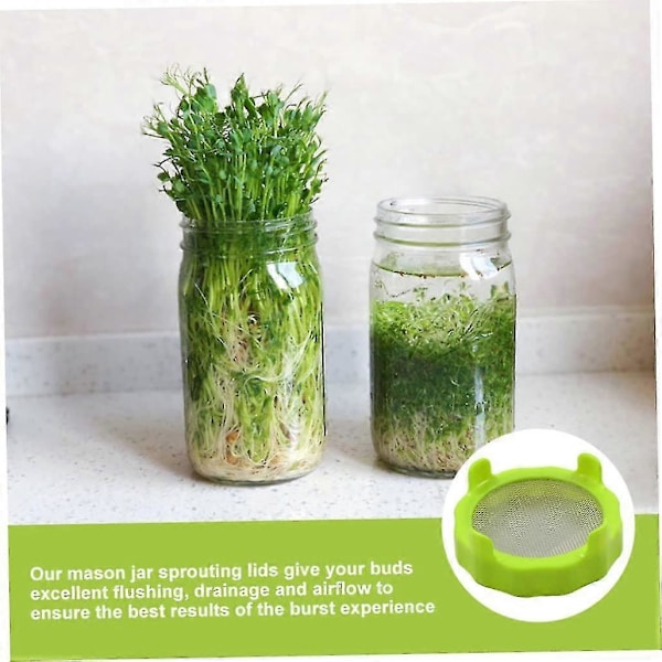 Spiringsdæksel til Mason-glas med rustfrit stålnet til bredmunds-Mason-glas Grøn Hydroponisk dyrkningsudstyr (grøn) (1 stk)