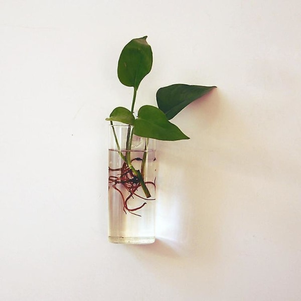 6 stk Klar Kugleform Glas Blomstervase Planteflaske Home Decor Terrarium
