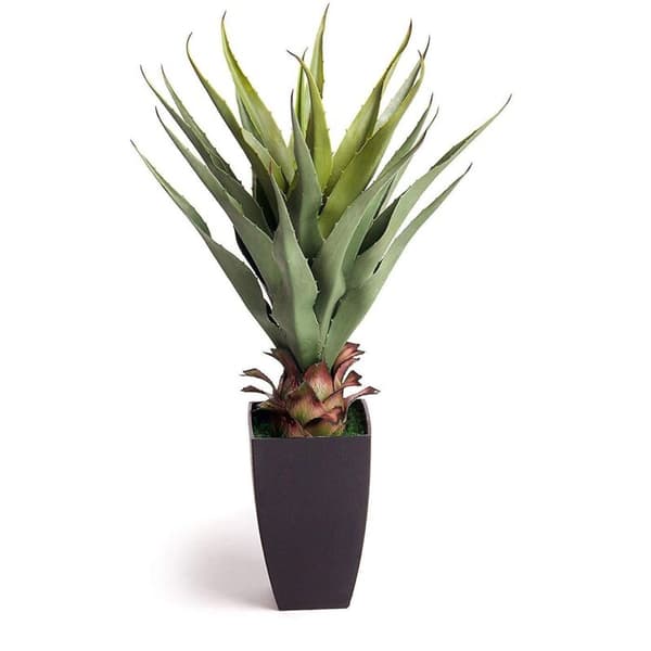 Paras 70 cm (2 jalan) simuloitu aloe vera -kasvi