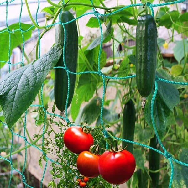 Net til klatreplanter (melon, pragtklokke osv.). 2,7 x 1,8 m. 10 cm masker.