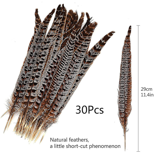 30 stk Naturlige Fasanfjer, DIY Fasanhalefjer, 15-28 cm Bløde Indfødte Plume Til Hårhatte Håndværk Festdekoration, Naturlig Farve