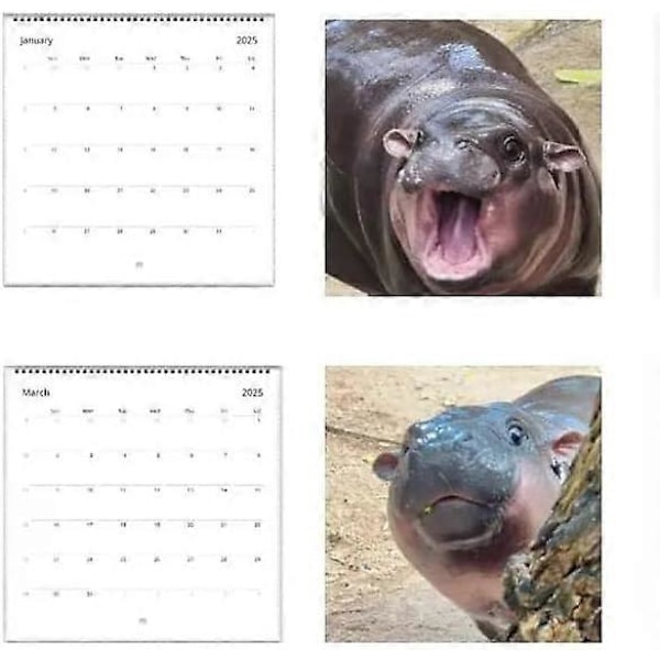 Moo Deng Kalender 2025, Rolig Moo Deng Flodhäst Kalender, Lilla Flodhästen Moo Deng 2025 Väggkalender, 12 Månaders Planerare