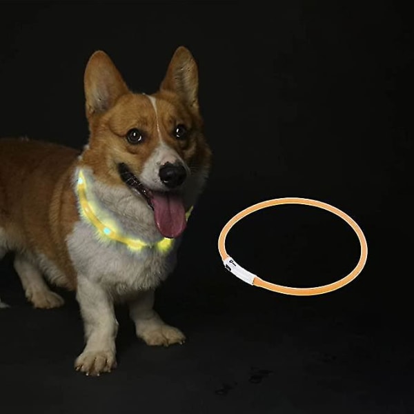 Light Up Hundehalsbånd, Led Hundehalsbånd Usb genopladeligt, Blinkende Hundehalsbånd Glow Light Halsbånd til Hunde