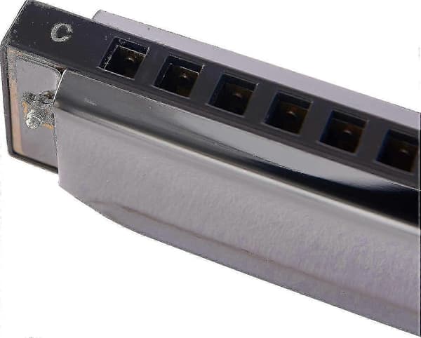 Blues Deluxe 10 Huller 20 C Harmonika til Begyndere Sort