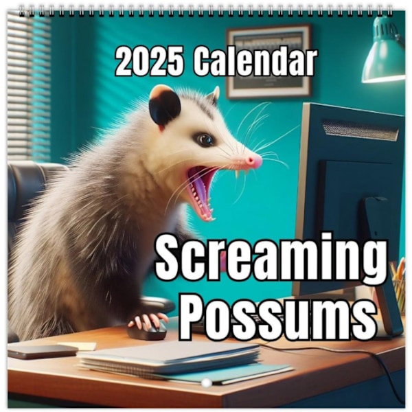 2-pack kalender 2025 väggkalender