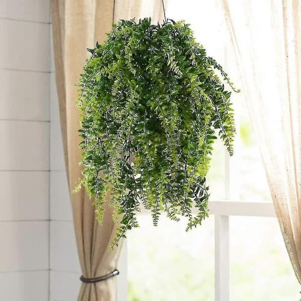 Tekokasvit, tekokasvit, hääkasvit, 2 kappaletta