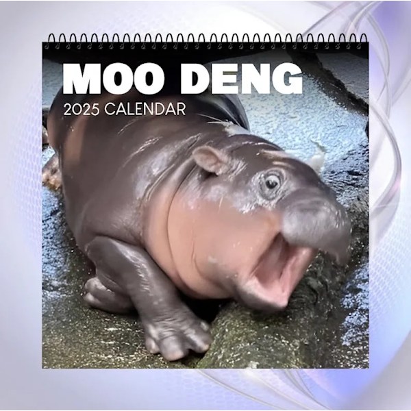 Moo Deng Kalender 2025, Rolig Moo Deng Flodhäst Kalender, Lilla Flodhästen Moo Deng 2025 Väggkalender, 12 Månaders Planerare