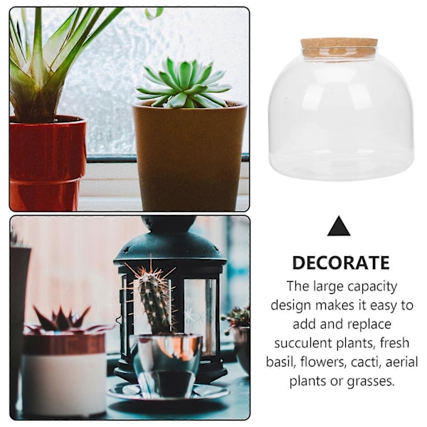 Klara Vaser Glas Blomkruka Glas Bonsaikruka Suckulent Glob Terrarium Glas Växthållare
