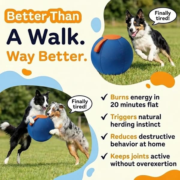 45 cm S-multifunktionell hundbollsleksak, interaktiv vatten- och studsleksak