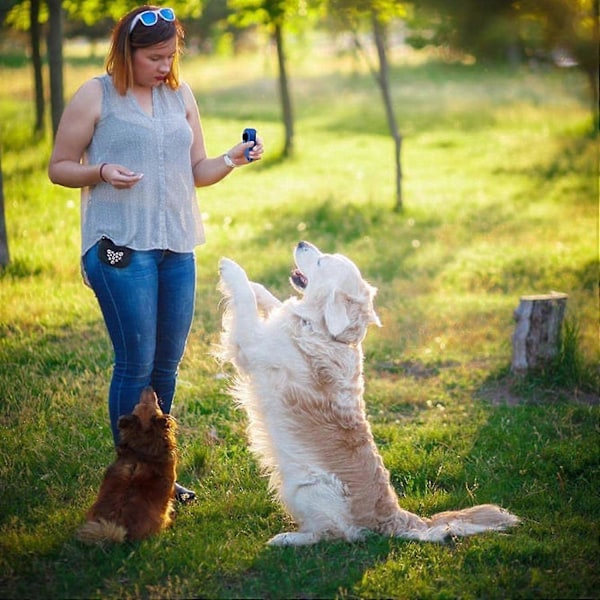 Pet Clicker Træner, Pet Clicker Træningsenhed, Clicker Værktøj Til Hundetræning, Pet Træningsclicker Til Hunde, Katte, Hvalpe, Fugle
