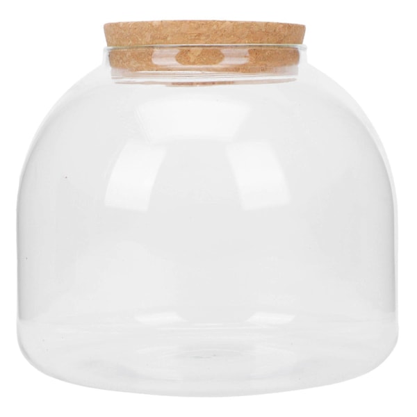 Klara Vaser Glas Blomkruka Glas Bonsaikruka Suckulent Glob Terrarium Glas Växthållare