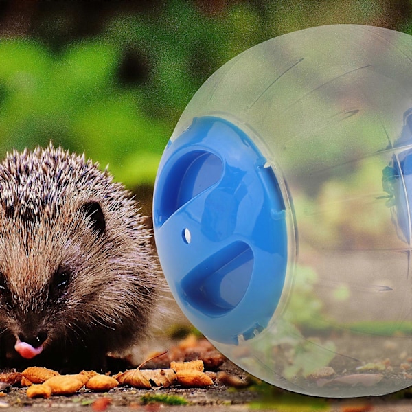 Transparent Träningsboll för Hamster Mini Trot Plastleksaker (Blå)