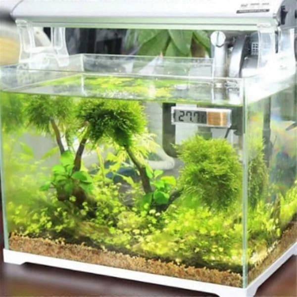 Akvarietermometer, digital elektronisk temperaturmåling til akvarier, akvarietilbehør B