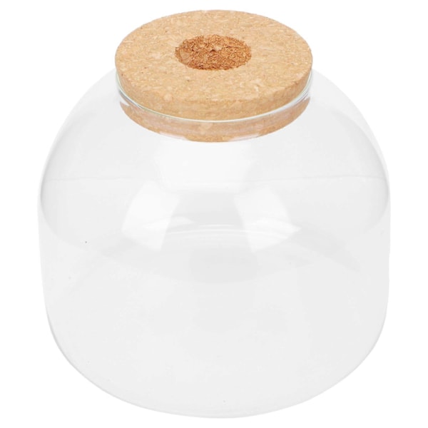 Klara Vaser Glas Blomkruka Glas Bonsaikruka Suckulent Glob Terrarium Glas Växthållare