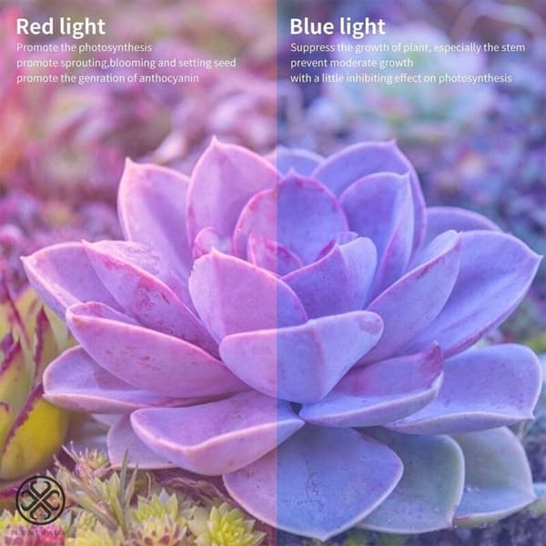 LED vækstlys. 30W fuldspektret E27 LED-pære til indendørs planter og drivhuse