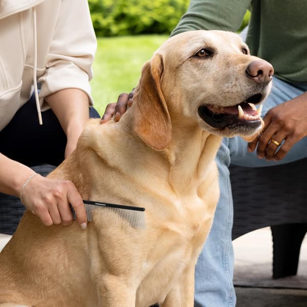 Professionel kæledyrsplejekam i rustfrit stål, præcisionsudreder til hunde og katte