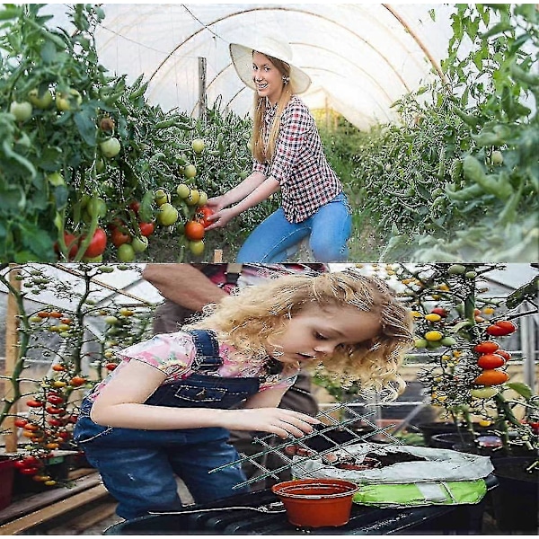 6 stk Plastplante Støtte Hagegitter For Klatreplanter Klatreramme For Planter Blomsterpotte Gitterplante For Utendørs Innendørs