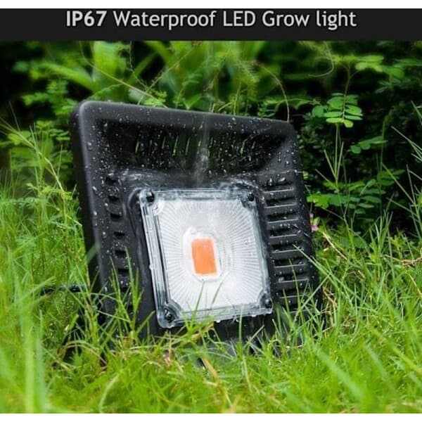 Vækstlys, 50W LED vækstlys, indendørs COB vækstlys