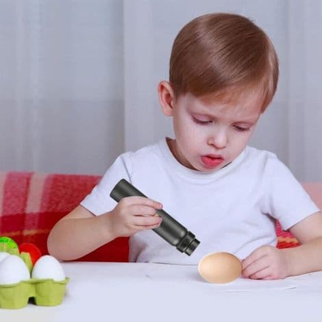 Eggtester - LED egglyser. Mini opplyst inkubator