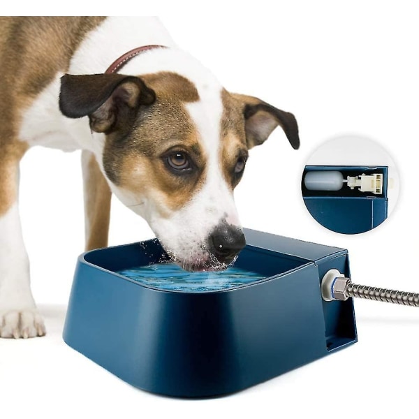 Kelluva lemmikkieläinten juoma-automaatti Koiran juoma-automaatti Kelluva juoma-automaatti kelluvalla venttiilillä koiralle