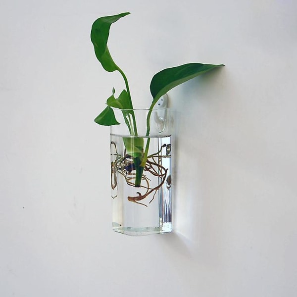 6 stk Klar Kugleform Glas Blomstervase Planteflaske Home Decor Terrarium