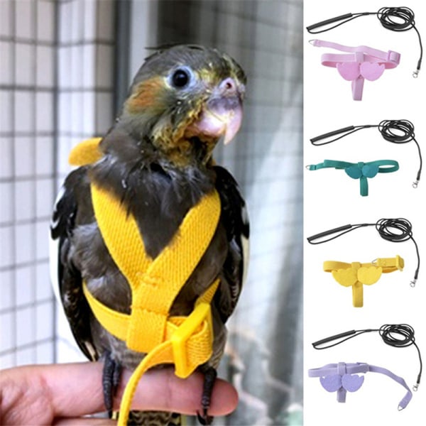Pet Papegøje Fugle Sele Leash Flying Rope Straps Outdoor Traini A Blue