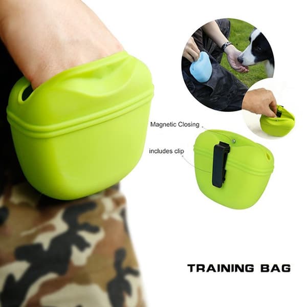Den nya hundvalpgodisväskan Pouch Walk Lydnadsträning R Gray