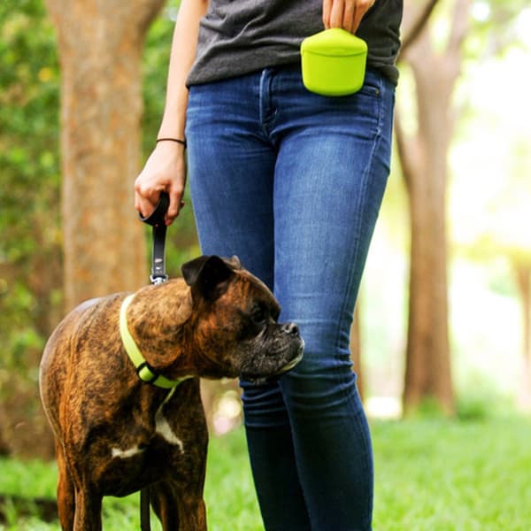 Den nya hundvalpgodisväskan Pouch Walk Lydnadsträning R Gray