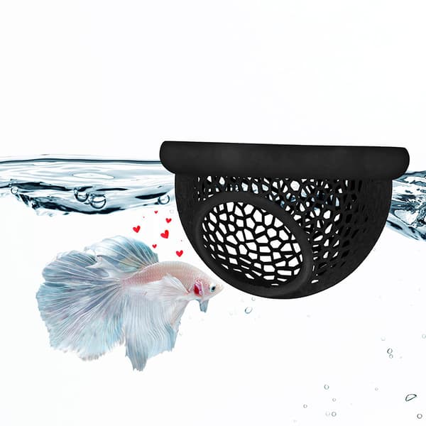 Kelluva Betta Piilopaikka & Katkarapuluola White