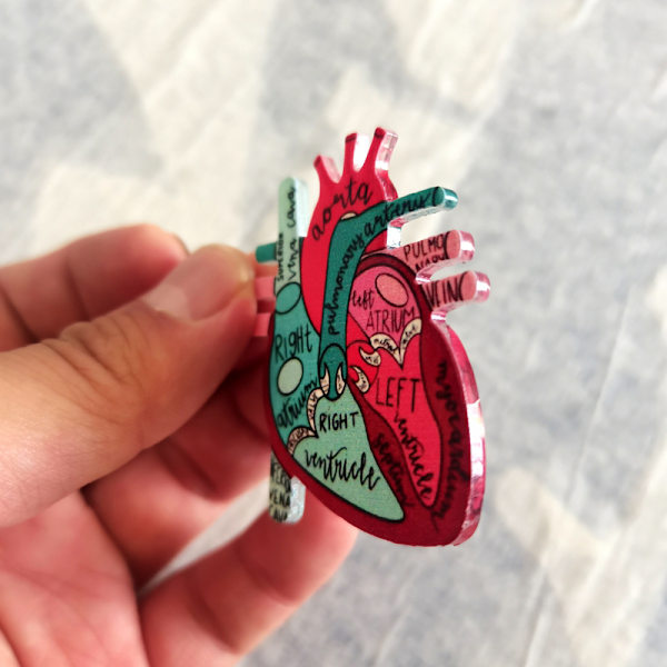 Anatomisk hjärtdiagram Retractable Badge Reel med läder Ta Random model