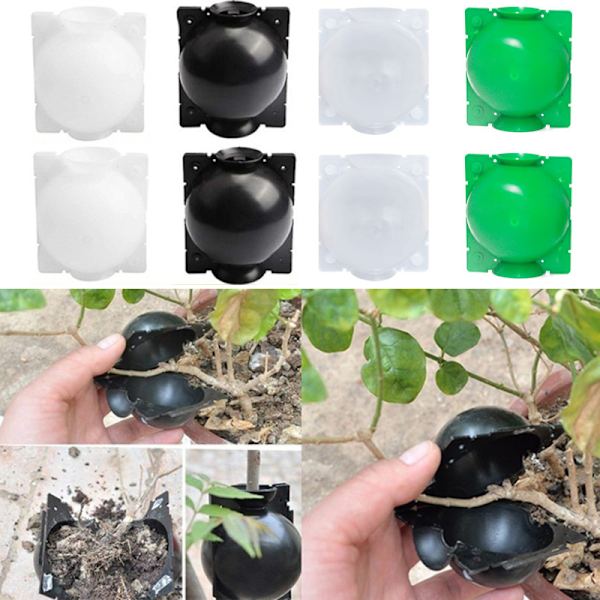 Rooting High Pressure Propagation Ball High Pressure Box Garde Clear S-3pcs