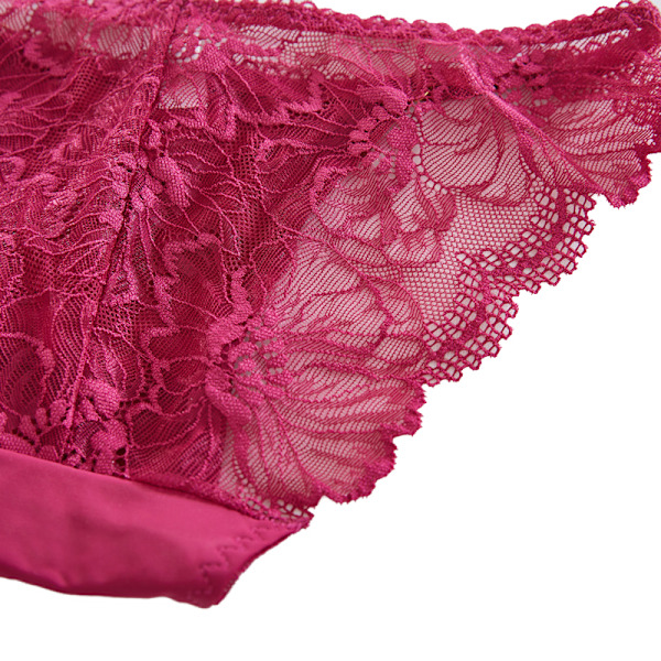 Sexiga Genomskinliga Trosor Dam Mesh Spets Solida Trosor Casual Se Nude - 1pc L