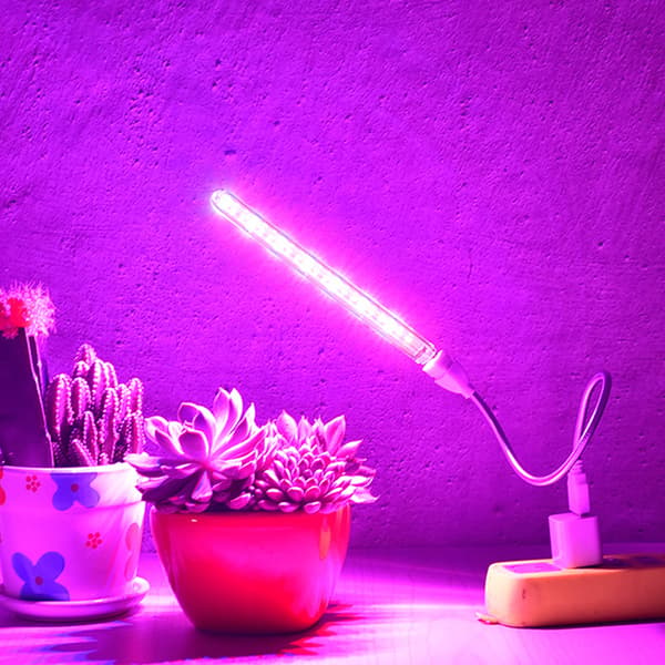 USB LED Grow Light Full Spectrum 10W DC 5V For Lighting Phyto 1#
