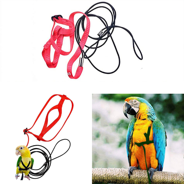 Fågelsele Justerbart papegojkoppel Fågelrep Anti Bite för Al XL
