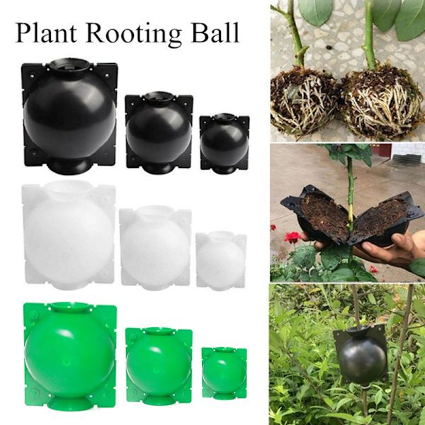 Rooting High Pressure Propagation Ball High Pressure Box Garde Clear S-3pcs