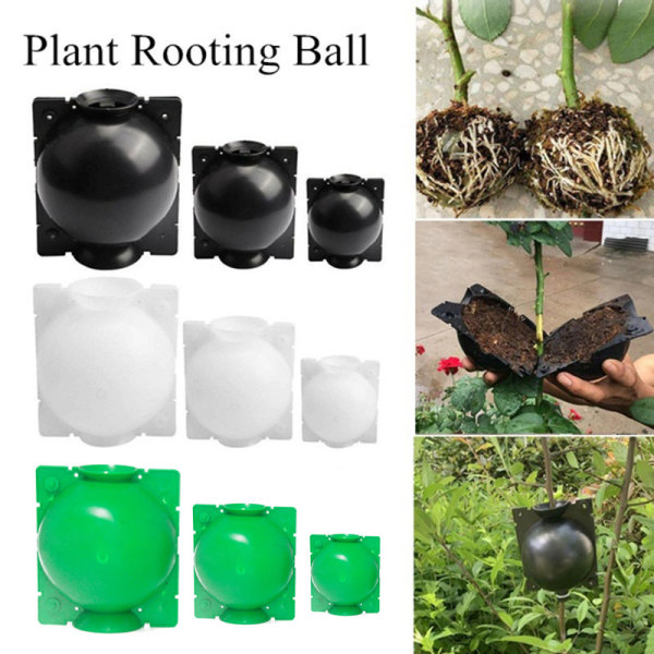 Rooting High Pressure Propagation Ball High Pressure Box Garde Green M-1pc