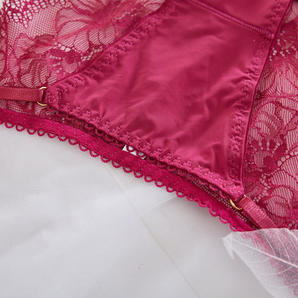Sexiga Genomskinliga Trosor Dam Mesh Spets Solida Trosor Casual Se Pink - 2pcs XL