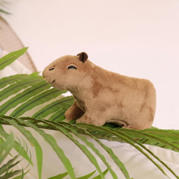 Kapybara-pehmolelu, pieni ja söpö kapybara-pehmo lahjaksi, 20 cm
