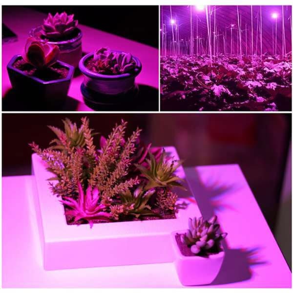 E14 Fuld Spektrum LED Vækstpærer - 8-pak til Indendørs Planter & Hydroponik-FX-