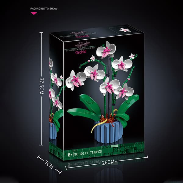 Botanisk Bonsai Byggsats - DIY Orkidéarrangemang för Barn-FX- Phalaenopsis