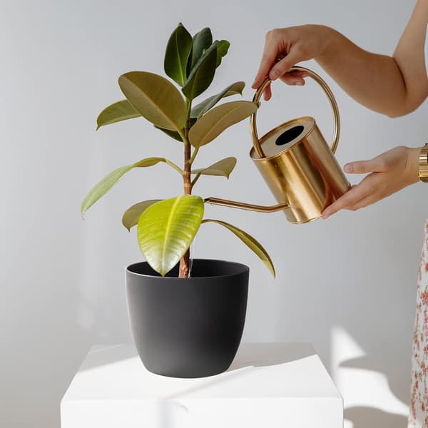 Black 14x13cm, 6 pcs automatic watering pot 12cm black visible water level home decorative flow-FX-