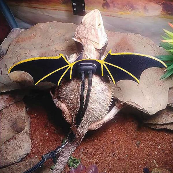 Bearded Dragon Harness Leash Set Lizard Leash with Wing Adjustable for Reptiles-FX-