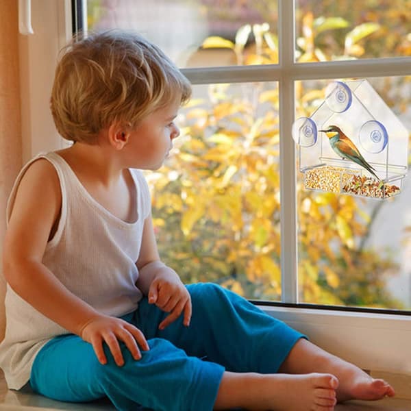 Window Bird Feeder for Outdoor Use with 3 Strong Suction Cups, Ac-FX-