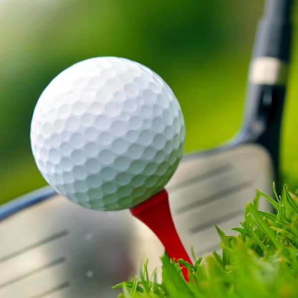 100 st vita golfpeggar i trä 3-1/8\" – Hållbara och släta för bättre spel