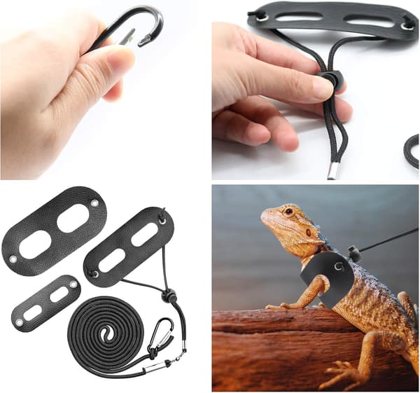 Bearded Dragon Harness & Leash 2-Pack - Adjustable Reptile Vest with Secure Straps for Lizards, Amphibians & Small Pets (S/M/L)-FX-
