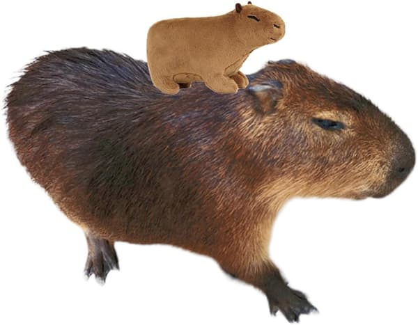 Kapybara-pehmolelu, pieni ja söpö kapybara-pehmo lahjaksi, 20 cm
