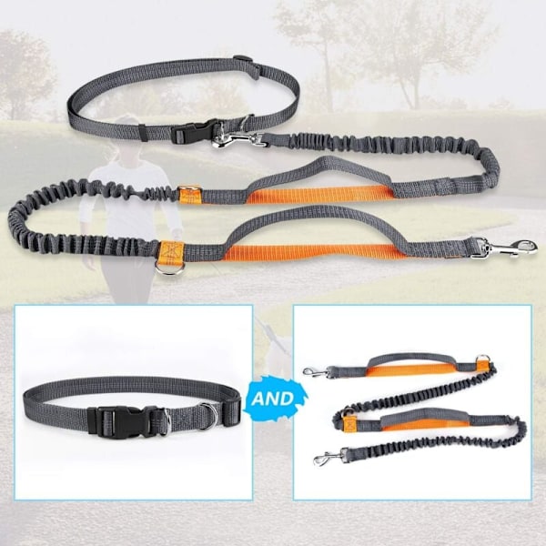 Håndfri hundesnor, justerbar og elastisk løbesnor med reflekterende syninger til hunde op til 110 kg